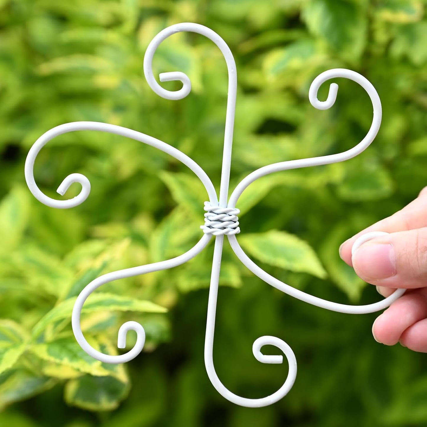 Yohsnor Monstera Plant Stem Support System - 5 Piece Set (5.5x4.7in) | Durable Plant Support Stakes for Climbing Plants & Fishbone Cactus | Ideal Leaf Stabilizer for Indoor Plants & Monstera Care