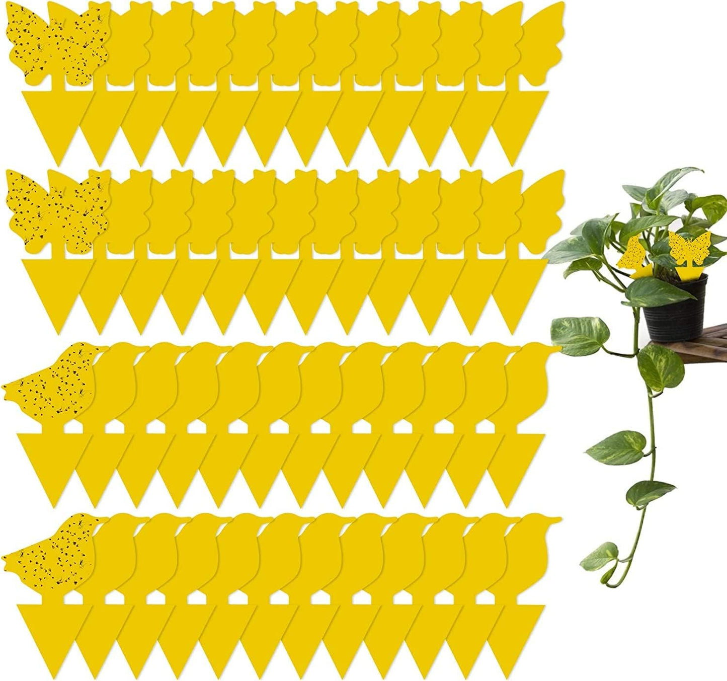 6 Pack Disposable Wasp Traps Outdoor Hanging Carpenter Bee Traps for Outside Yellow Jacket Trap Hornet Trap Wasp Catcher for Bug Flies Patio Garden