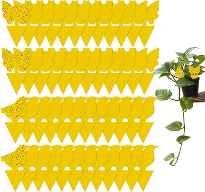 6 Pack Disposable Wasp Traps Outdoor Hanging Carpenter Bee Traps for Outside Yellow Jacket Trap Hornet Trap Wasp Catcher for Bug Flies Patio Garden