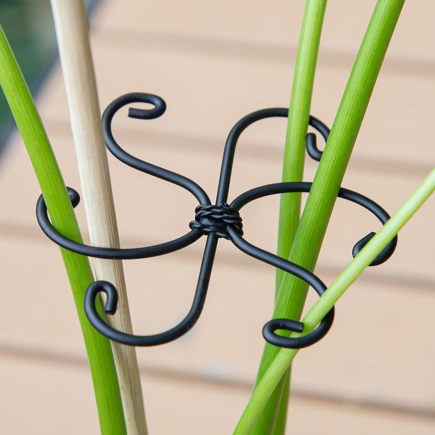 Yohsnor Monstera Plant Stem Support System - 5 Piece Set (5.5x4.7in) | Durable Plant Support Stakes for Climbing Plants & Fishbone Cactus | Ideal Leaf Stabilizer for Indoor Plants & Monstera Care