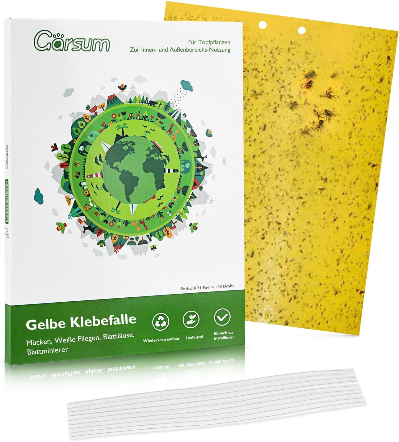 Garsum 36 Pack Fungus Gnat Traps Sticky Fruit Fly Trap Killer for Kitchen Indoor and Outdoor, Insect Fly Traps for House Plants, Whitefly, Mosquito Bits, Flying Insects