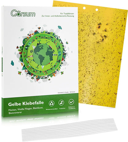 Garsum 36 Pack Fungus Gnat Traps Sticky Fruit Fly Trap Killer for Kitchen Indoor and Outdoor, Insect Fly Traps for House Plants, Whitefly, Mosquito Bits, Flying Insects