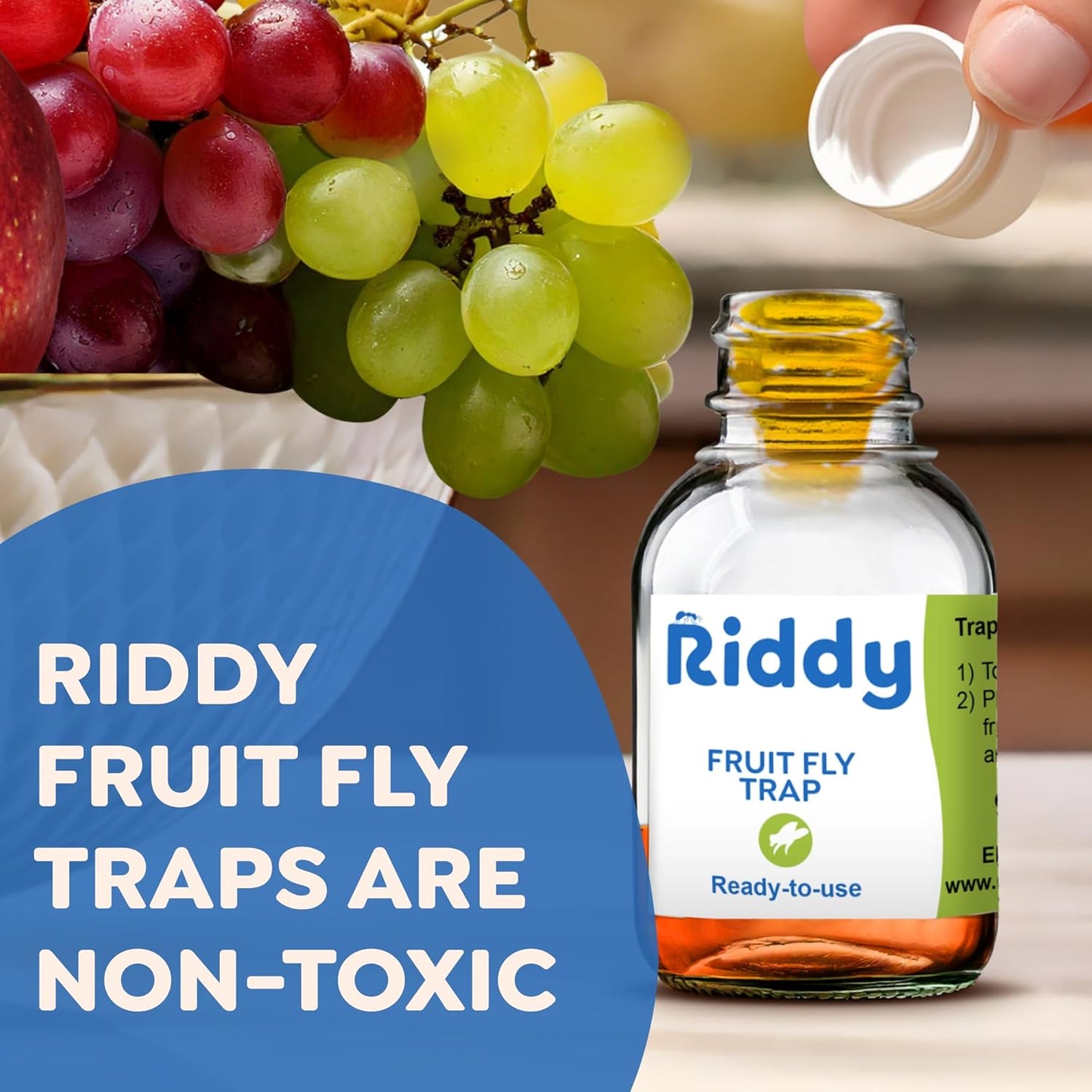 Riddy Fruit Fly Traps – Non-Toxic, Ready-to-Use, Long-Lasting Solution for Fruit Flies in Kitchens and Food Preparation Areas, Pack of 2