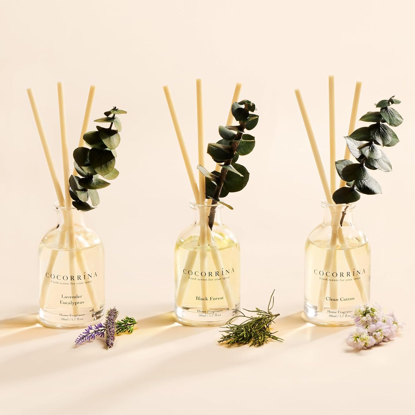 COCORRÍNA Eucalyptus Reed Diffuser Set of 3 - Eucalyptus & Moss, Clean Linen, Ocean Mist Scents, 1.7 fl oz Each, Total 5.1 oz, Scented Oil Diffusers for Home & Office