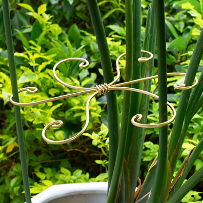 Yohsnor Monstera Plant Stem Support System - 5 Piece Set (5.5x4.7in) | Durable Plant Support Stakes for Climbing Plants & Fishbone Cactus | Ideal Leaf Stabilizer for Indoor Plants & Monstera Care