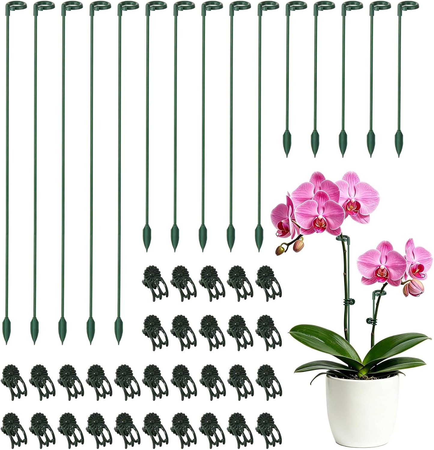 LUCKJUJU 30 Pcs Plant Support Stakes with 30 Pcs Plant Clips Garden Floral Flower Support Single Stem Support Stake for Phalaenopsis Orchid Flower Roses Amaryllis
