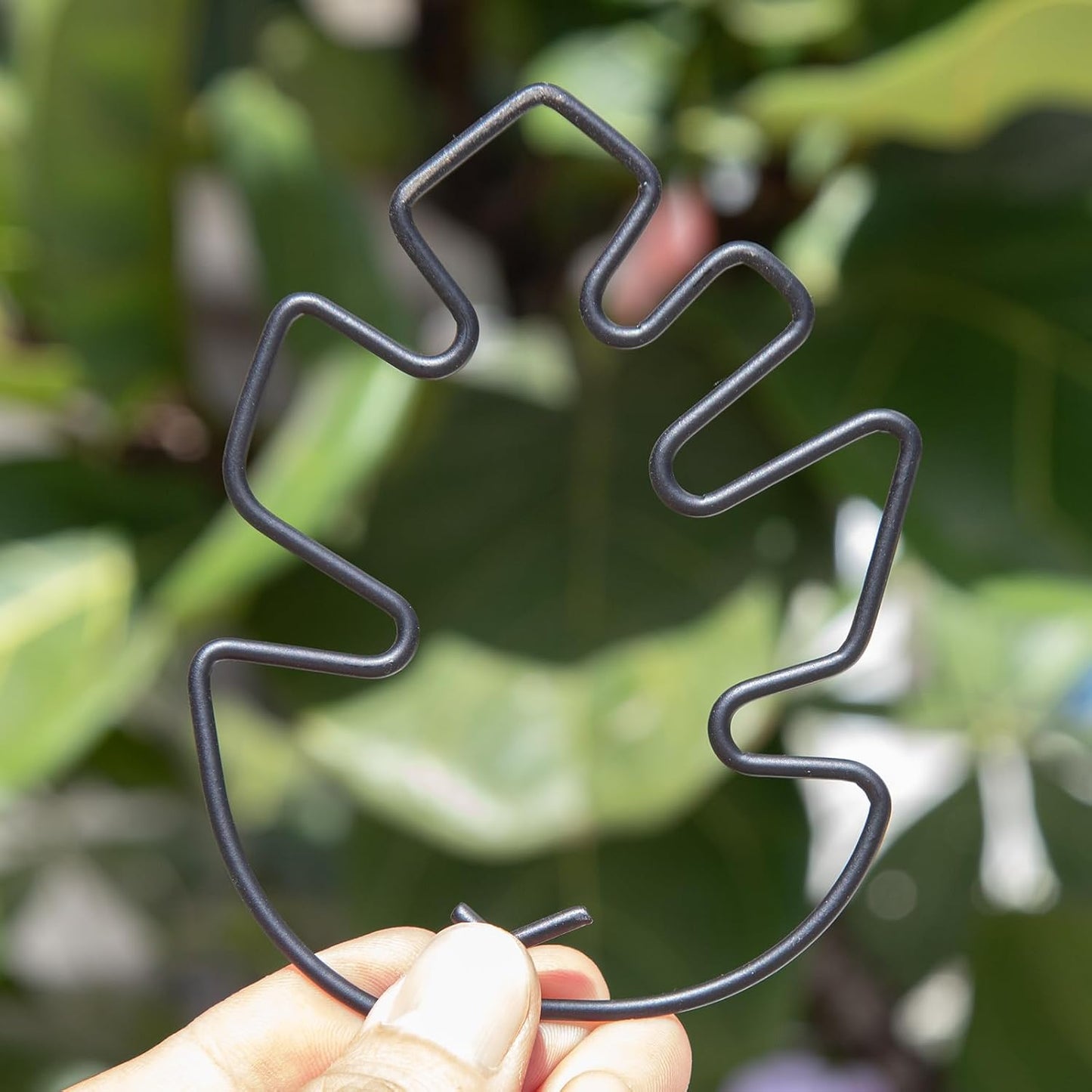 Yohsnor Monstera Plant Stem Support System - 5 Piece Set (5.5x4.7in) | Durable Plant Support Stakes for Climbing Plants & Fishbone Cactus | Ideal Leaf Stabilizer for Indoor Plants & Monstera Care