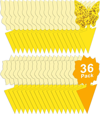 36 Pack Fruit Fly Traps for Indoors, Gnat Traps for House Indoor, Sticky Traps Fungus Gnats Killer for Mosquito and Flying Insects, Bug Pest Insect Catcher Killer for Houseplant