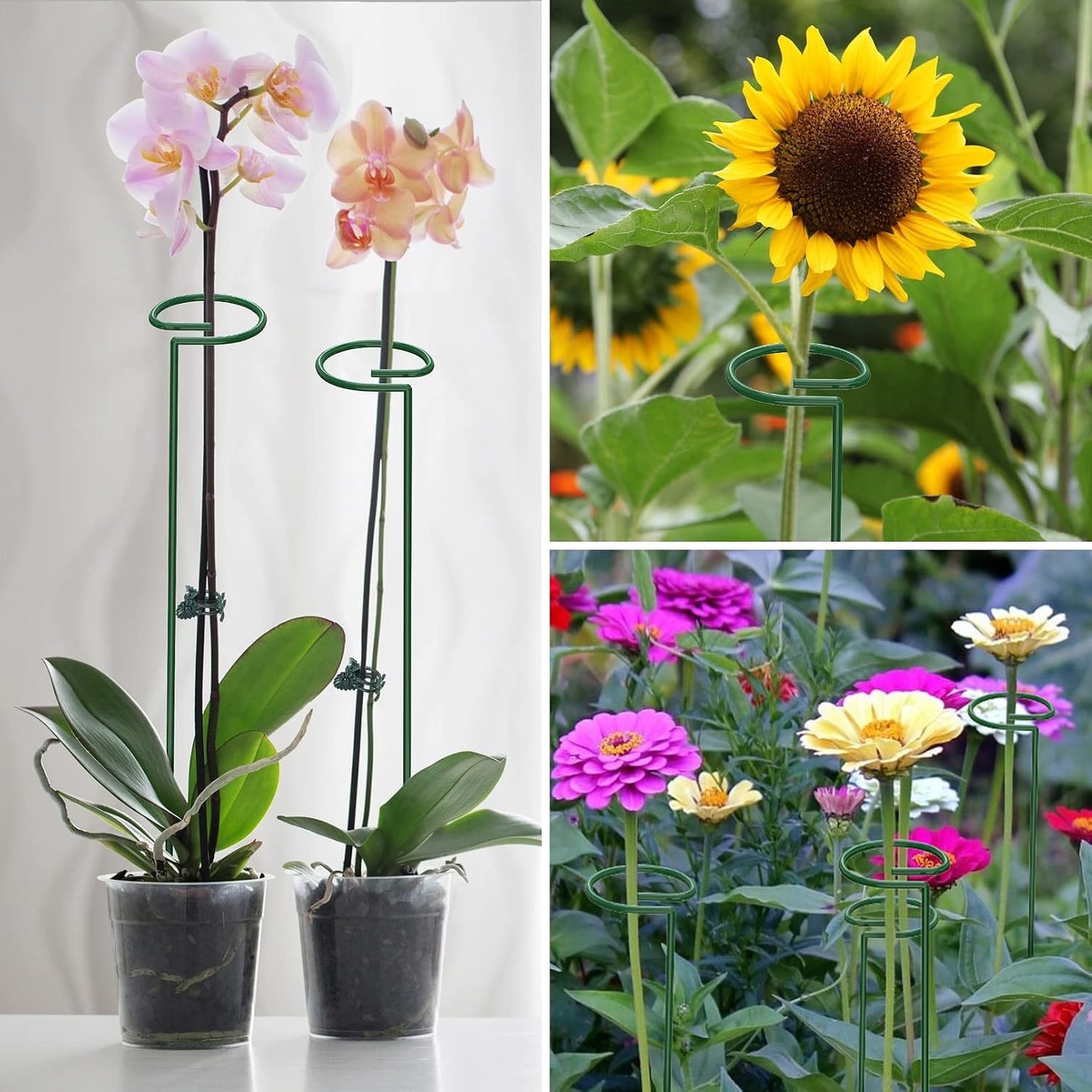 Unves 24 in Plant Stakes, 12 Pack Garden Plant Support Stakes(12" or 24") | Single Stem Plant Cage for Outdoor Indoor Plants Orchid, Tomatoes, Peony, Lily, with 100 Pcs Twist Ties