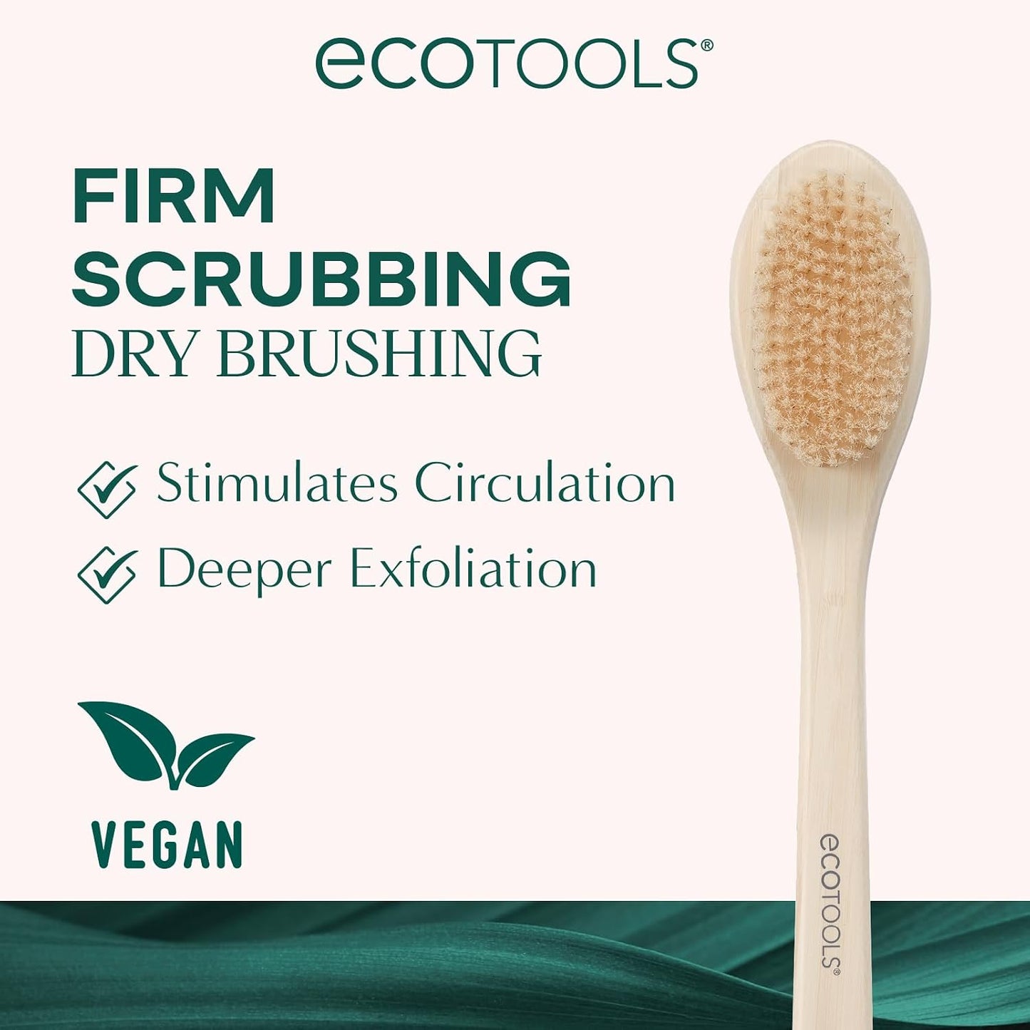 EcoTools Bath Bristle Brush, Bath Brush with Long Handle, Cleanse Back & Hard-to-Reach Areas, Eco Friendly Shower Brush for Exfoliating, Cruelty Free Nylon Bristles, Vegan, 1 Count