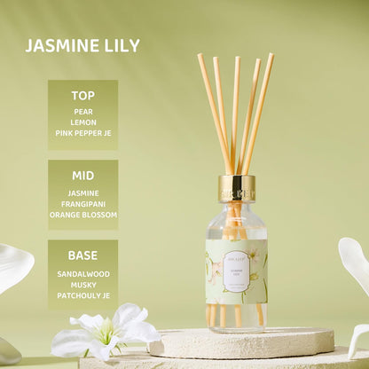 Airkeep Reed Diffuser Oil Set with Reed Sticks,Vanilla Aromatherapy Oil Scent Diffuser for Home Office Bathroom Decoration Perfume and Gifts 3.38 oz/100ml