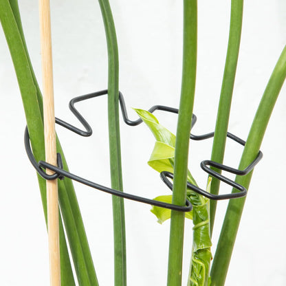 Yohsnor Monstera Plant Stem Support System - 5 Piece Set (5.5x4.7in) | Durable Plant Support Stakes for Climbing Plants & Fishbone Cactus | Ideal Leaf Stabilizer for Indoor Plants & Monstera Care