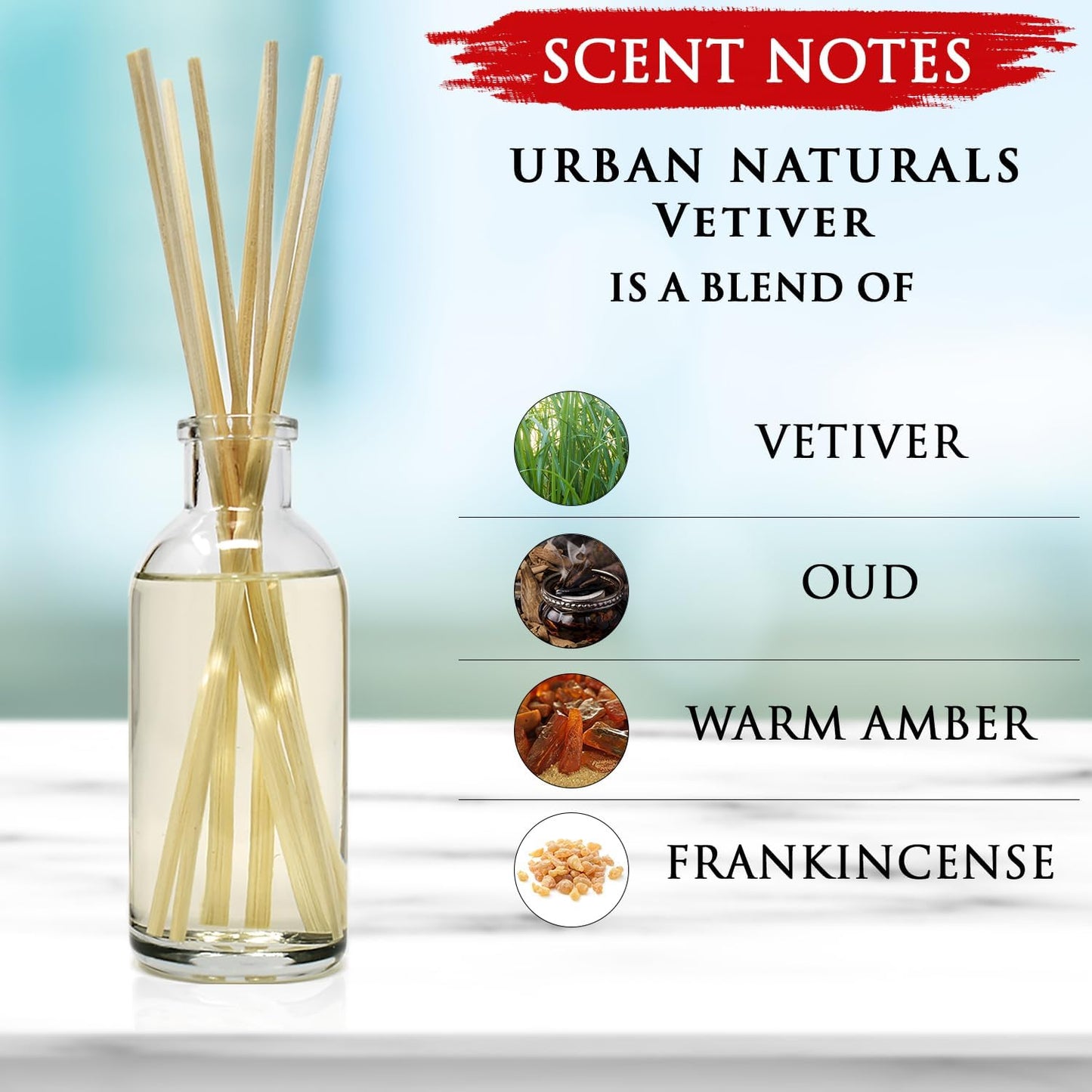 Urban Naturals Smoked Vanilla Reed Diffuser Set with Vanilla Bean, Sandalwood & Leather | Made in the USA - Colors B