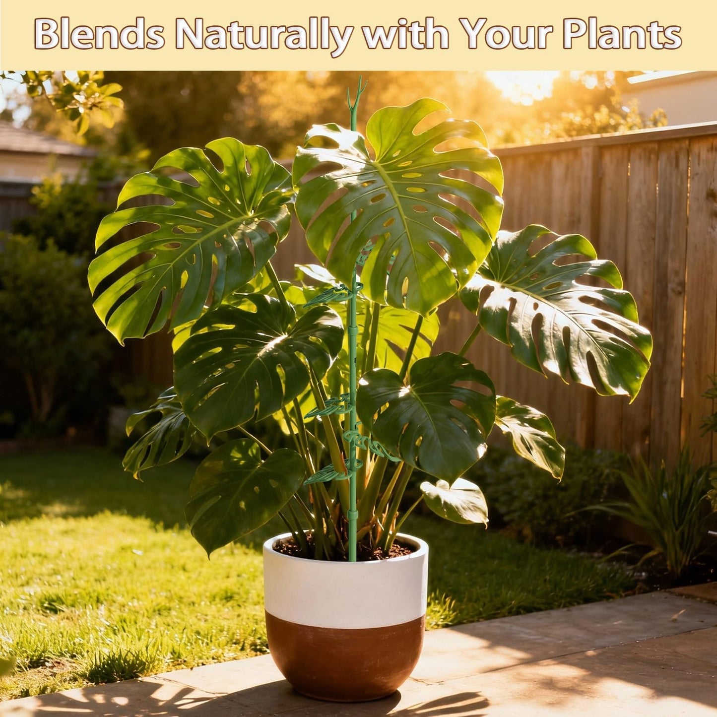 Telescoping Monstera Plant Support Stakes, Adjustable Climbing Plant Stakes | 21 - 43.3in Stakes with Detachable Monstera Leaf Clips; Supports Pothos, Tomatoes, Indoor & Garden Plants