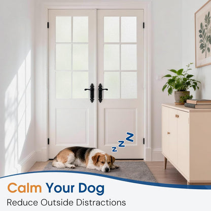 Homein Frosted Glass Window Privacy Film with Tools UV Blocking Privacy Film for Glass Windows, Static Cling No Glue Removable Reusable Anti Glare for Home Day and Night, Pure 17.5" x 78.7"