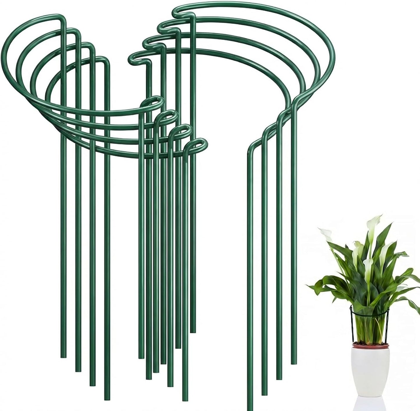 FEED GARDEN 8 Pack Peony Cages and Supports, Plant Support Stakes for Outdoor & Indoor Plants, 10" W x 16" H Half Round Garden Plant Support Rings for Peonies, Hydrangeas, Roses, Dahlias