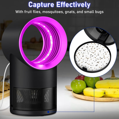 Fly Trap Indoor,Blue Gnat Traps House Indoor,Indoor Insect Trap with Timer | Fruit Fly Trap Indoors Suctions & Captures, 6/12Hr Timer, Kid & Pet Friendly, Low Noise, 10 Refills