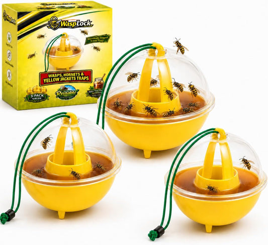 Wasp Trap Outdoor Hanging 3 Pack – Reusable Yellow Jacket & Hornet Catcher, No-Escape Funnel Design, Chemical-Free for Patio Garden BBQ Yard