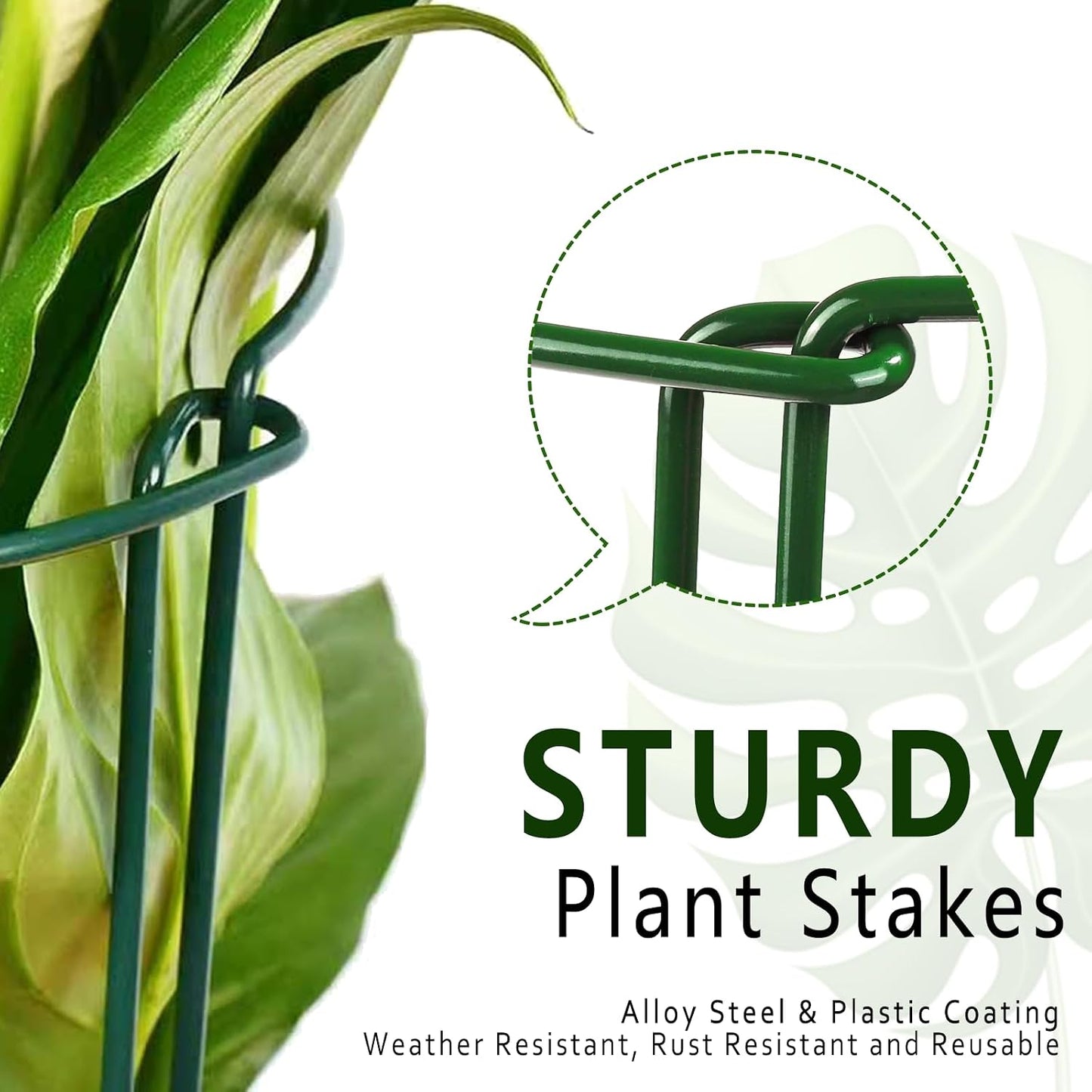 6 Pack Detachable & Assemblable Metal Plant Support Stakes - Garden Support Ring, Tomato Seedling Cage, Young Monstera/Pothos for Growing Indoor/Outdoor (10" W x 16" H)