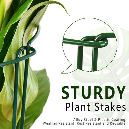 6 Pack Detachable & Assemblable Metal Plant Support Stakes - Garden Support Ring, Tomato Seedling Cage, Young Monstera/Pothos for Growing Indoor/Outdoor (10" W x 16" H)