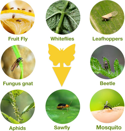 40 Pack Fungus Gnat Traps for House Indoor Yellow Sticky Traps for Gnats Sticky Traps for Plants, Dual-Sided Fungus Gnat Sticky Traps Fruit Fly Traps for Indoors
