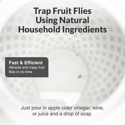 Elevated Lifestyle Fruit Fly Jar Trap - Decorative and Effective Ceramic Fruit Fly Catcher, Kid and Pet Friendly Fly Trap Indoor, Ideal for Kitchens, Restaurants, and Homes - (White)