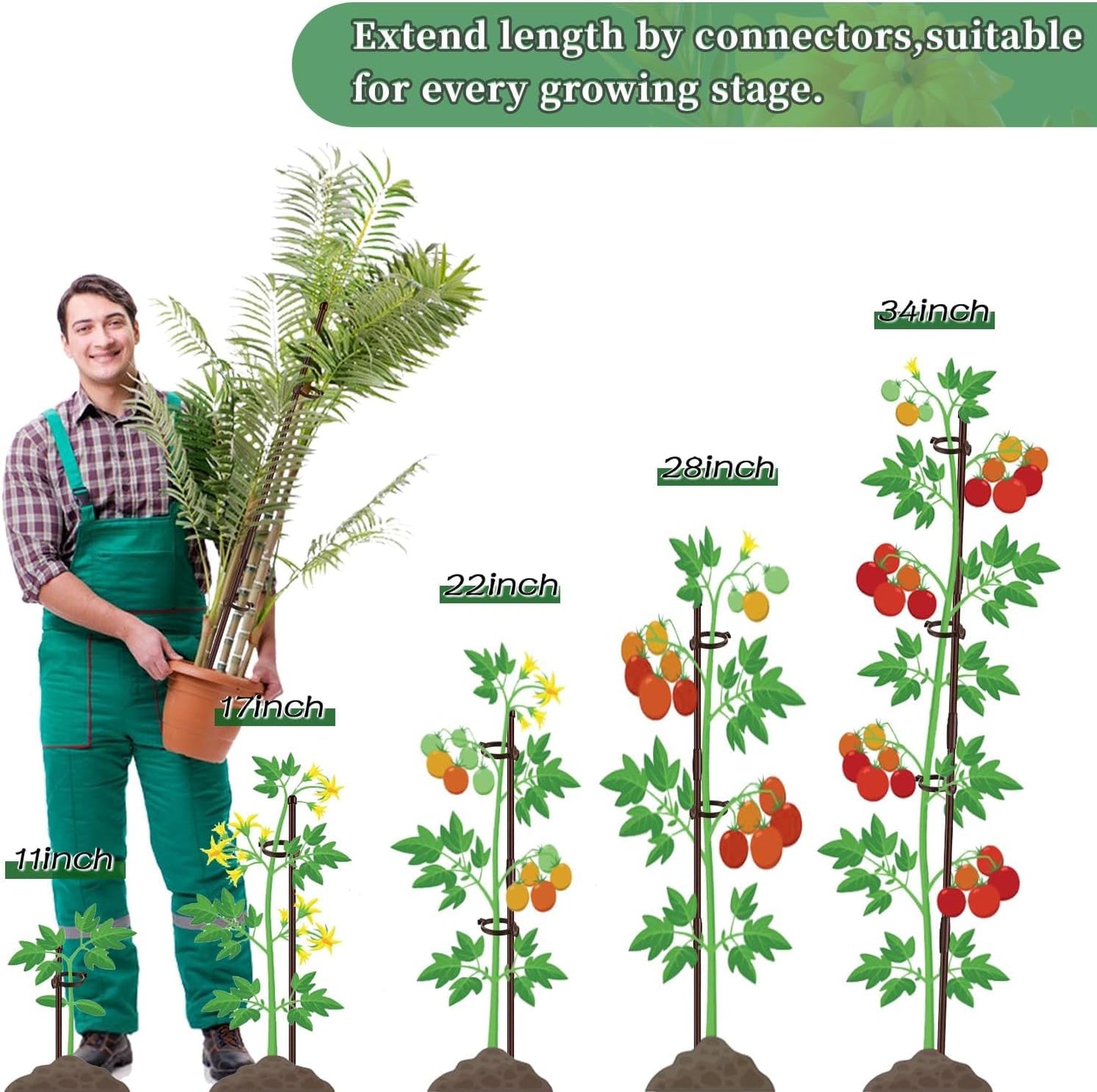Plant Stakes 17inch &11inch SupKing Adjustable Length Plant Support Stake 16Pcs Orchid Stick with Clips for Indoor Outdoor,Garden Pole for Potted Tomato Amaryllis Vegetables Comes with 20 Ties (Green)