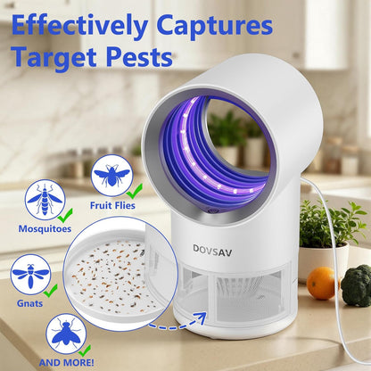 Fruit Fly Trap for Indoors, Blue Bug Zapper Indoor with Suction & Timer | Uv Light Lures Fruit Flies/Gnats, Timer 6/12hrs, Plug in Fly Trap with Suction, Kid & Pet Applicable, Low Noise, 10 refills