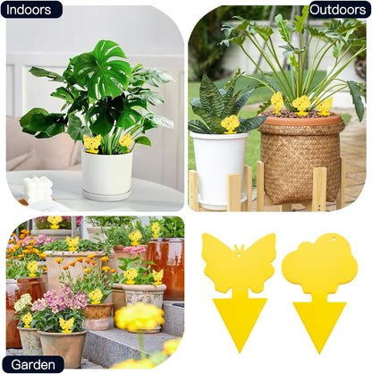 36 Pcs Sticky Traps for Fungus Gnat, Fruit Fly, Whitefly, Yellow | Indoor/Outdoor Use, For Plants & Kitchen, High-End Glue, Insect Catcher