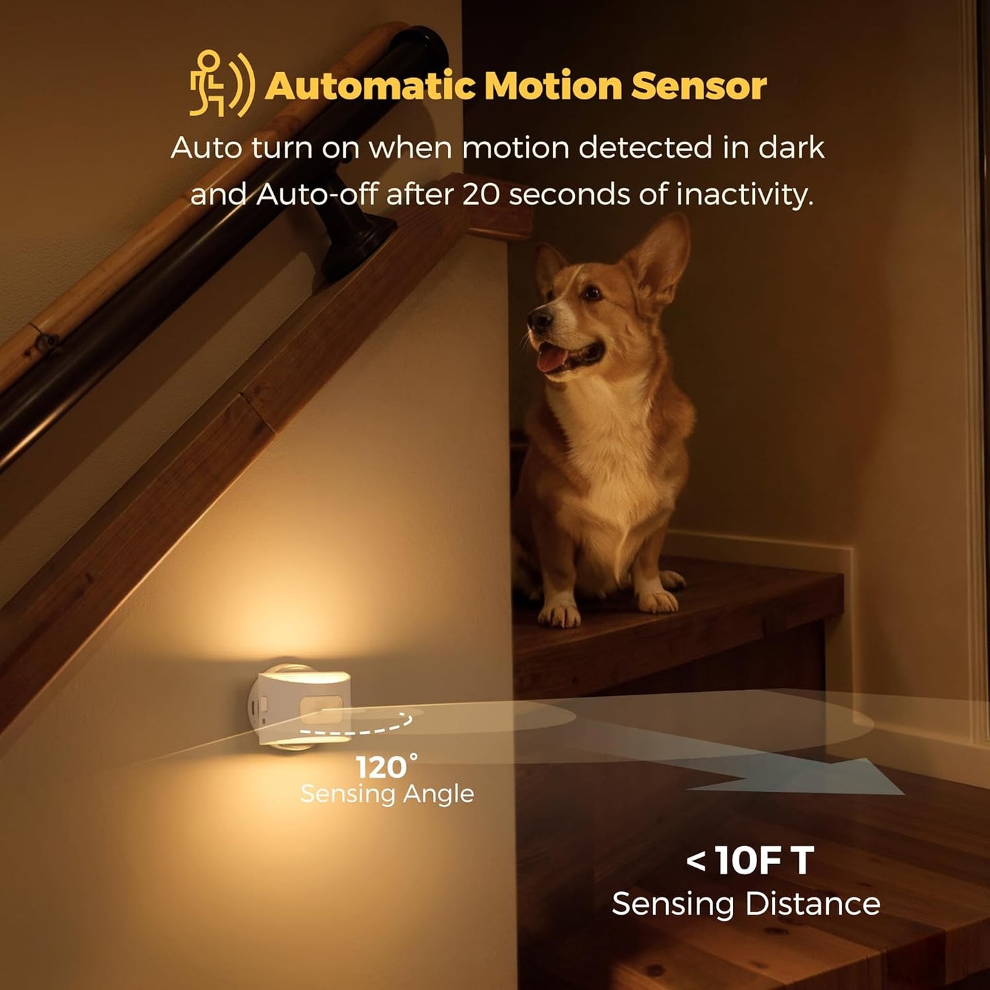 L LOHAS LED Motion Sensor Night Light, [2-Pack] Plug in Night Light with Motion Sensor and Dusk to Dawn Sensor, Brightness Adjustable, 3000K Soft White Nightlight for Bathroom Hallway Kitchen