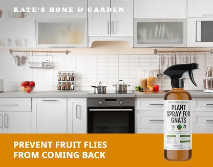 Kate's Home & Garden 36 Count Fruit Fly Traps for Indoors and House. Yellow Sticky Trap for Gnats, Mosquitos, Plants, Ants