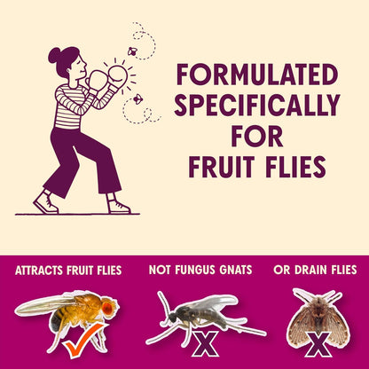 Aunt Fannie's FlyPunch Fruit Fly Trap for Indoor and Kitchen Use, Ready to Use, Made with Plant Based Ingredients, Safe Near Food, Each Bottle Lasts Up to 30 Days, Pack of 1