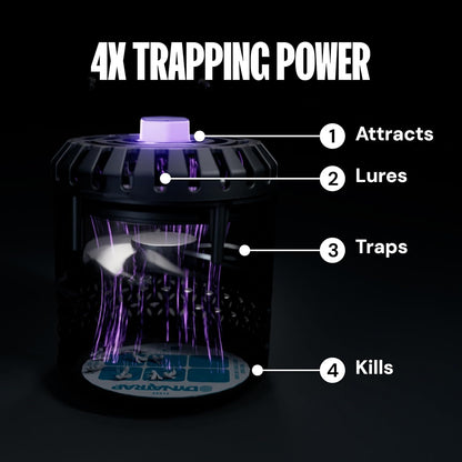 DynaTrap DT152 Indoor Insect Trap and Killer – Catches and Kills Gnats, Flies, Moths & Other Flying Insects
