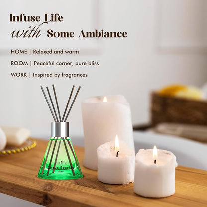 Reed Diffuser Set for Home, Citrus Scented Diffuser with 6 Diffuser Sticks, Home Fragrance Scent Essential Oil Stick Diffuser for Christmas Shelf Decor,3.4 oz