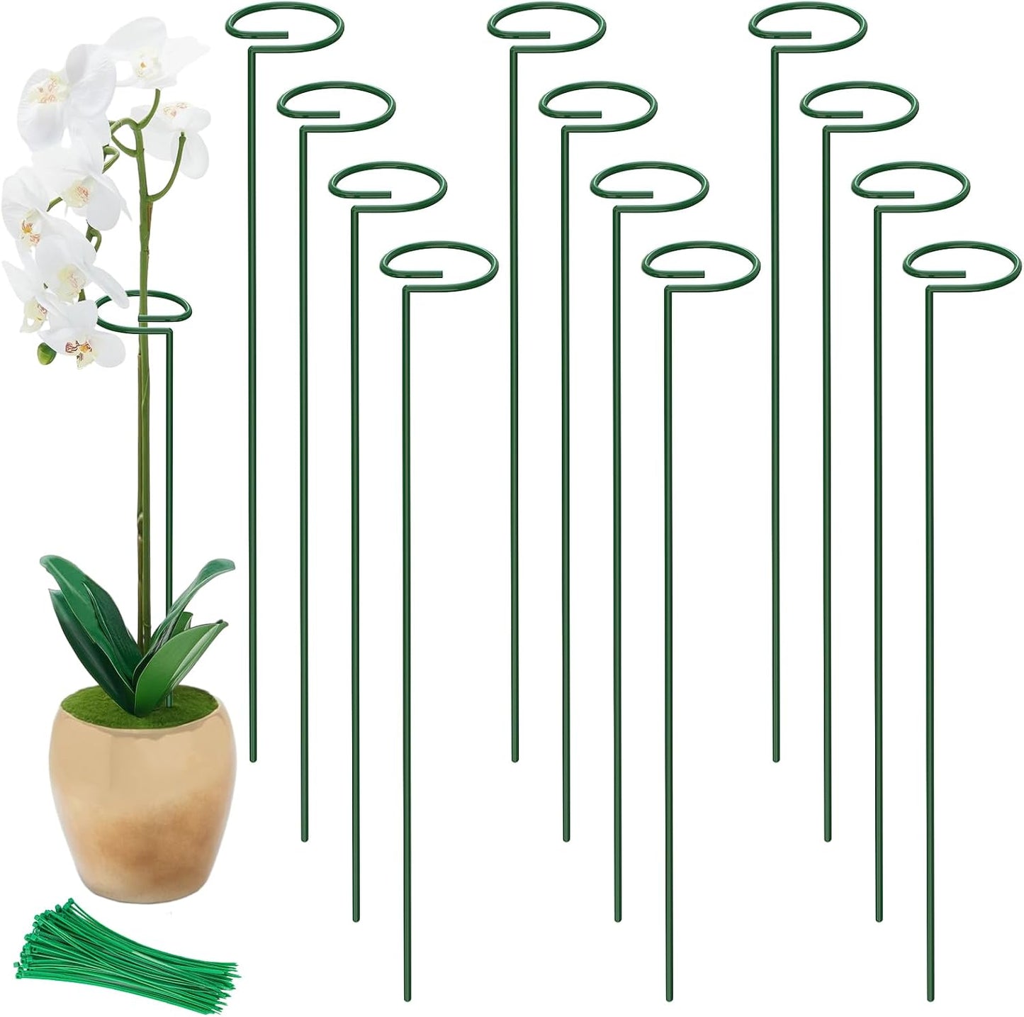 Unves 24 in Plant Stakes, 12 Pack Garden Plant Support Stakes(12" or 24") | Single Stem Plant Cage for Outdoor Indoor Plants Orchid, Tomatoes, Peony, Lily, with 100 Pcs Twist Ties