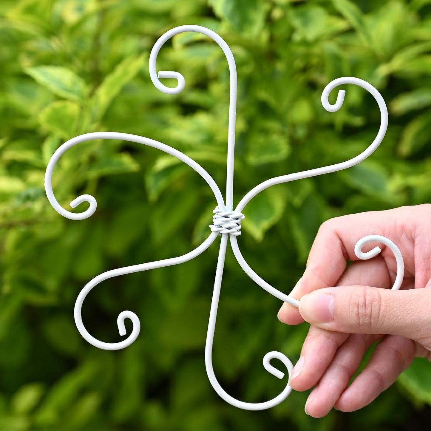 Yohsnor Monstera Plant Stem Support System - 5 Piece Set (5.5x4.7in) | Durable Plant Support Stakes for Climbing Plants & Fishbone Cactus | Ideal Leaf Stabilizer for Indoor Plants & Monstera Care