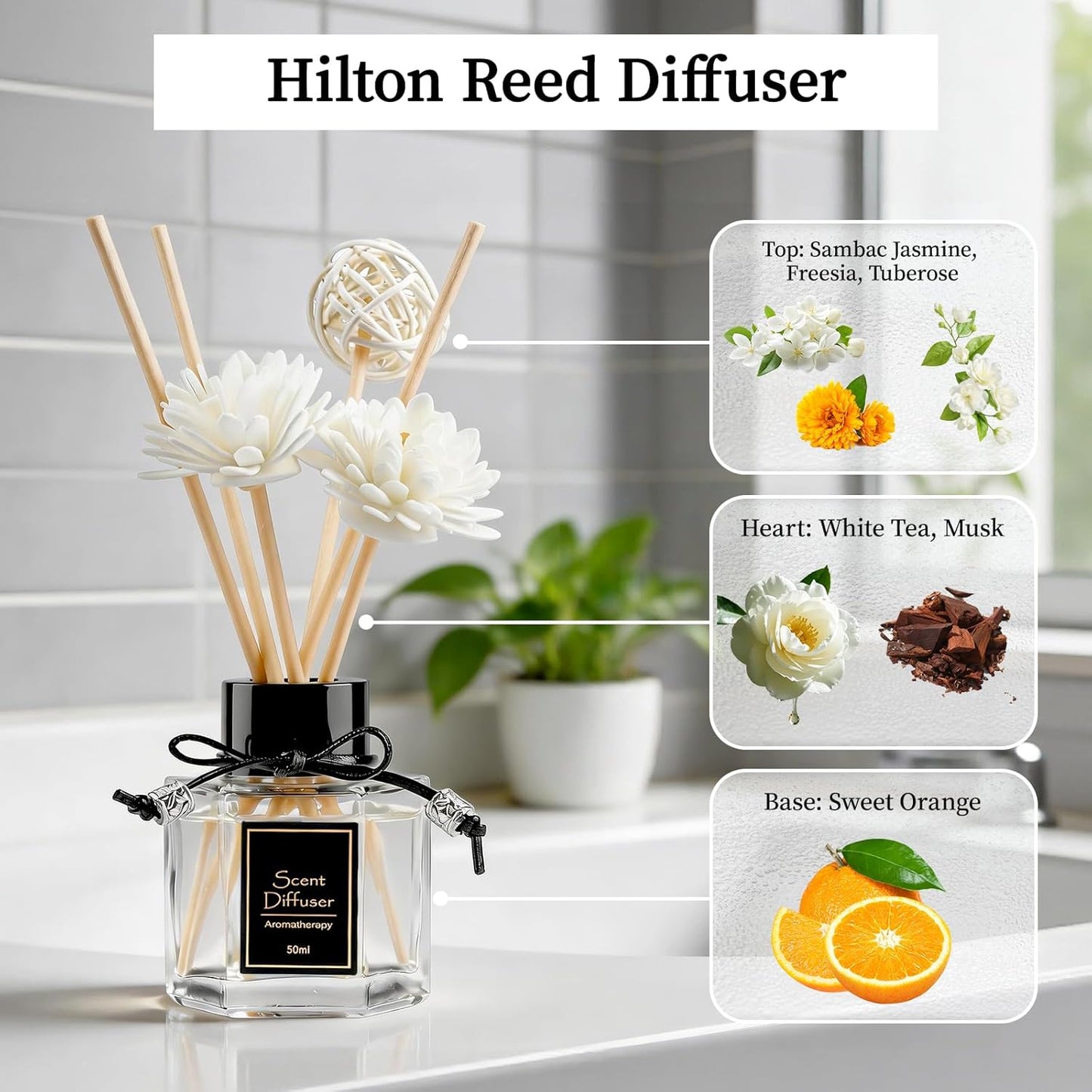 TonJin Reed Diffuser Set of 2 | 1.7 fl oz Natural Home Fragrance with Sticks | Long-Lasting Scented Sticks for Bathroom, Living Room & Bedroom | Non-Toxic Essential Oil Air Freshener Shangri-La
