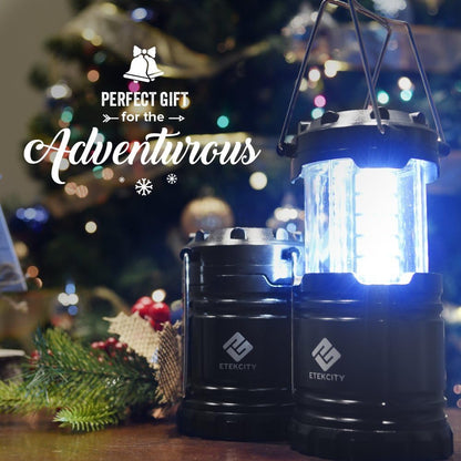 Etekcity Lantern Camping Essentials Lights, Led Flashlight for Power Outages, Battery Operated Lamp for Emergencies, Survival Gear, Hurricane Preparedness Items, Water Resistant, 2 Pack, Black