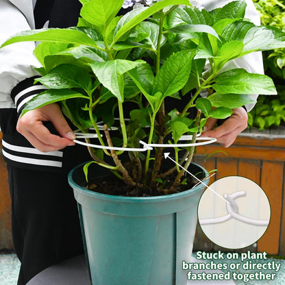 Yohsnor Monstera Plant Stem Support System - 5 Piece Set (5.5x4.7in) | Durable Plant Support Stakes for Climbing Plants & Fishbone Cactus | Ideal Leaf Stabilizer for Indoor Plants & Monstera Care