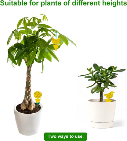 Yellow Sticky Fruit Fly Trap 54 Pack, Gnat Traps for Indoor House Plants | Catches Fungus Gnats, Fruit Fly, Whitefly, Aphid, Leaf Miner, No Harm & Odorless, Safe For Indoor Garden & Outdoor Plant Use