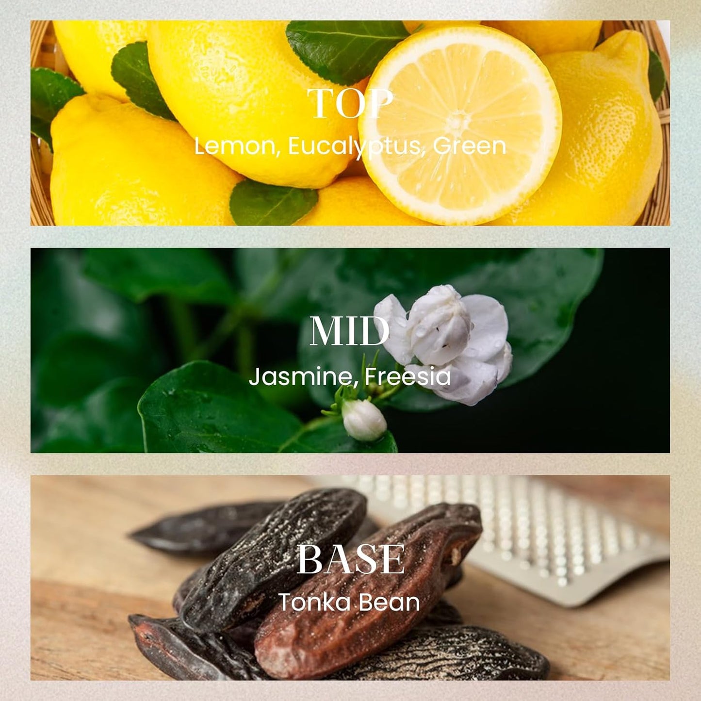 M&SENSE 6.3 oz Large Reed Diffuser Set | Lime+Basil Scent Oil Diffuser with Sticks | Hotel Collection Non-Toxic Home Fragrance |for Bedroom Bathroom Living Room - Colors B