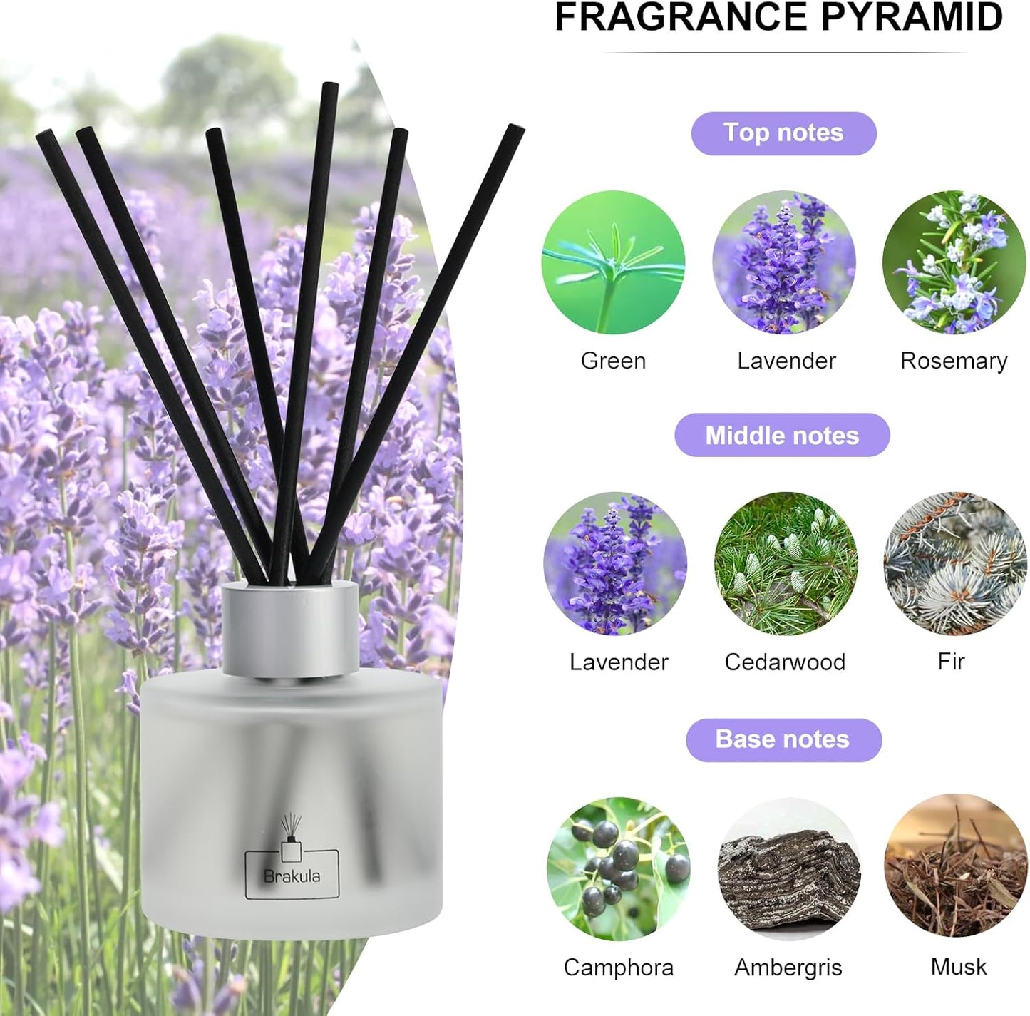 Brakula Reed Diffuser Set- Eucalyptus & Mint Scented Home Fragrance, 3.4OZ(100ml) x 2, Essential Oil Diffuser for Living Room, Bathroom & Guest Rooms