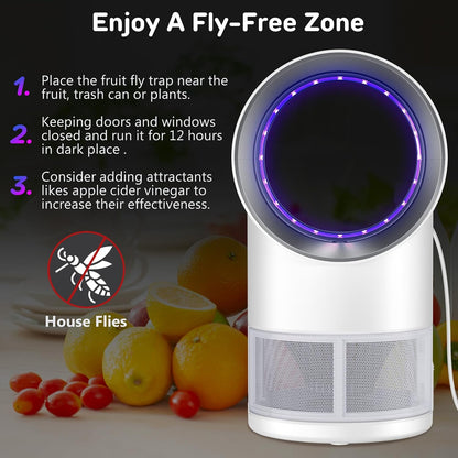 Fly Trap Indoor,Blue Gnat Traps House Indoor,Indoor Insect Trap with Timer | Fruit Fly Trap Indoors Suctions & Captures, 6/12Hr Timer, Kid & Pet Friendly, Low Noise, 10 Refills