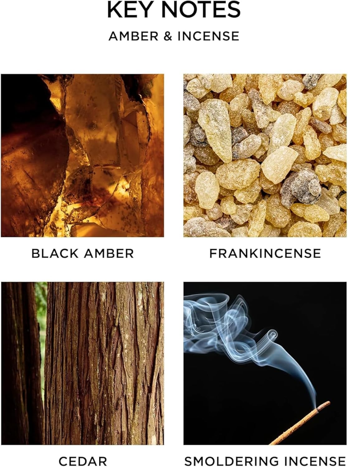 NEST New York Reed Diffuser, Moroccan Amber - 5.9 fl oz - Fragrance for Up to 90 Days - Reusable, Refillable Glass Holder - Includes 8 All-Natural Reed Sticks - Flame Free