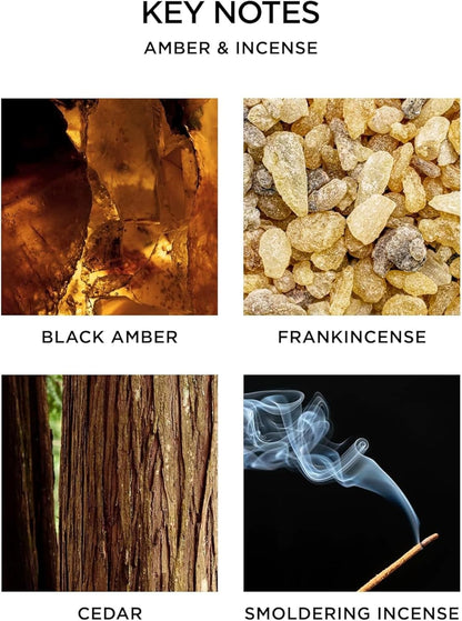 NEST New York Reed Diffuser, Moroccan Amber - 5.9 fl oz - Fragrance for Up to 90 Days - Reusable, Refillable Glass Holder - Includes 8 All-Natural Reed Sticks - Flame Free