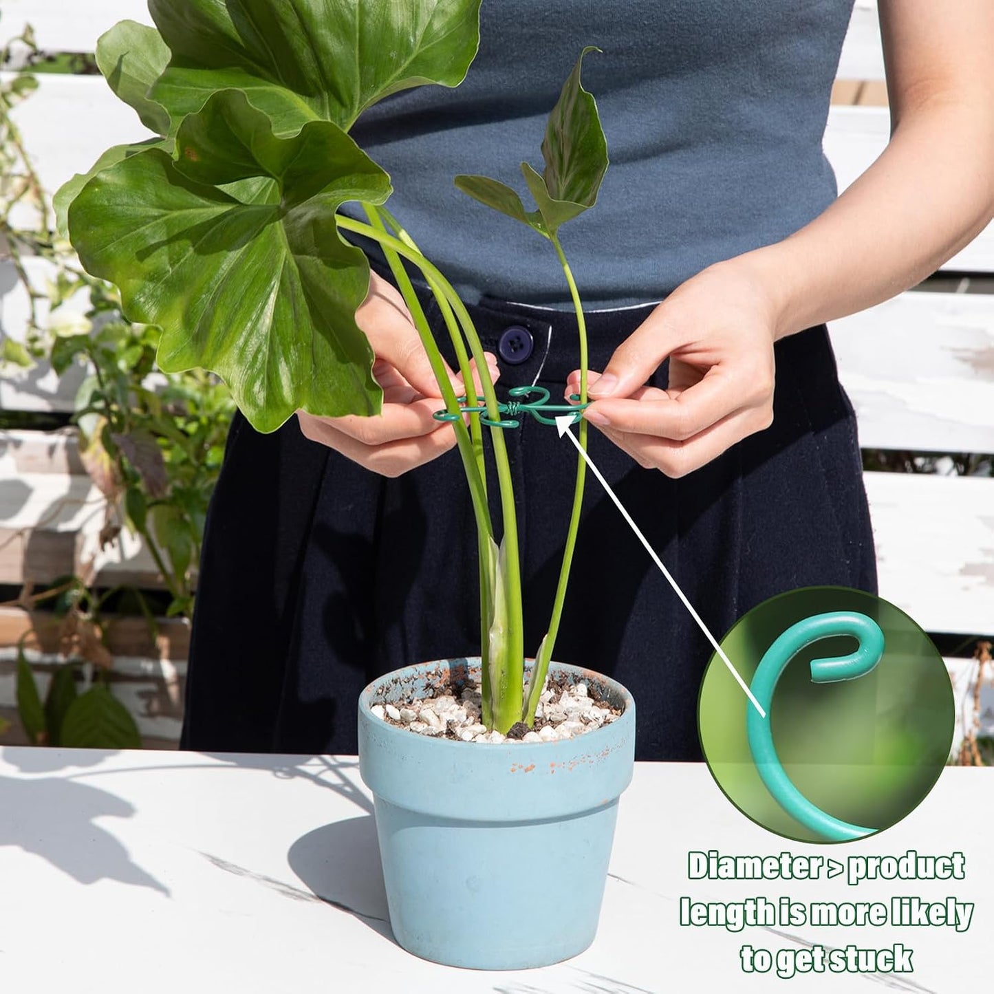 Yohsnor Monstera Plant Stem Support System - 5 Piece Set (5.5x4.7in) | Durable Plant Support Stakes for Climbing Plants & Fishbone Cactus | Ideal Leaf Stabilizer for Indoor Plants & Monstera Care