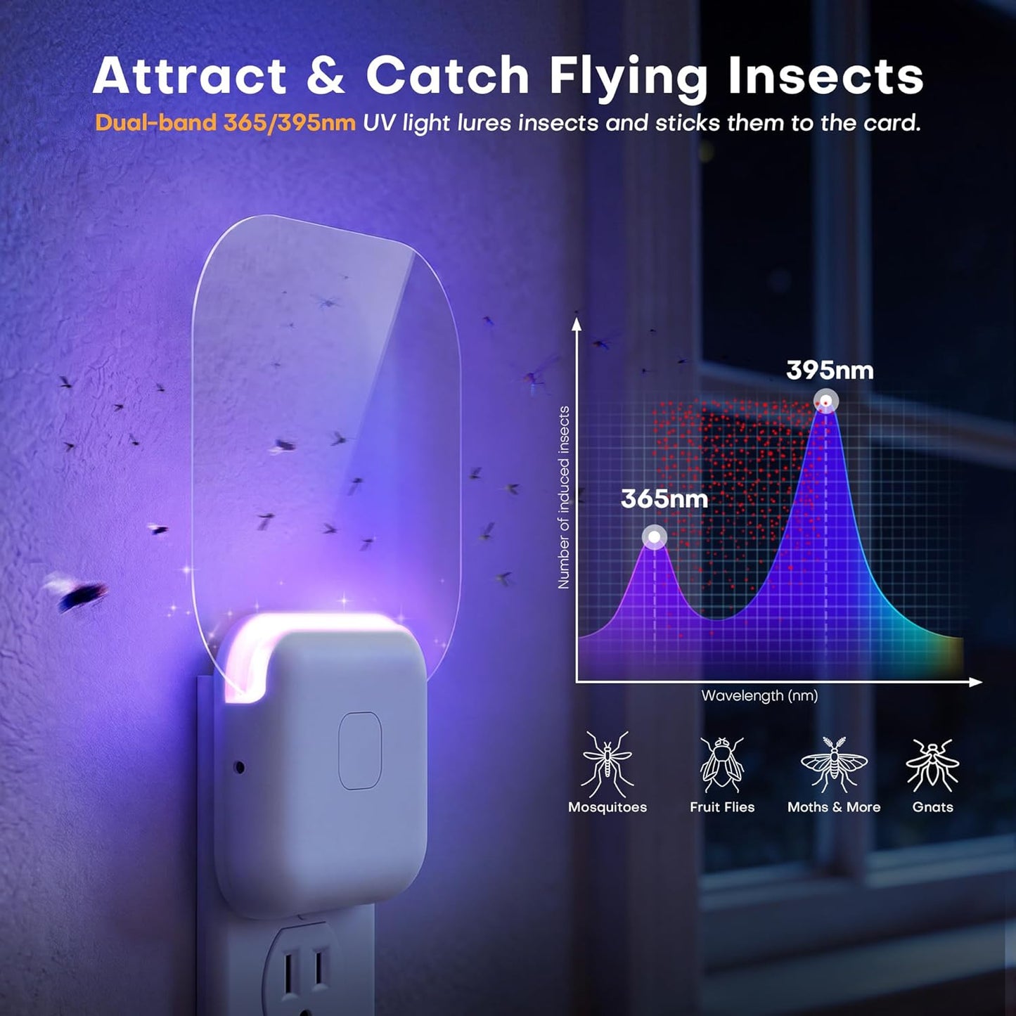 Fruit Fly Traps for Indoors (2 Device + 20 Refills), Gnat Traps for House Indoor, Plug in Fly Traps Indoor for Home, Kitchen&Living Room