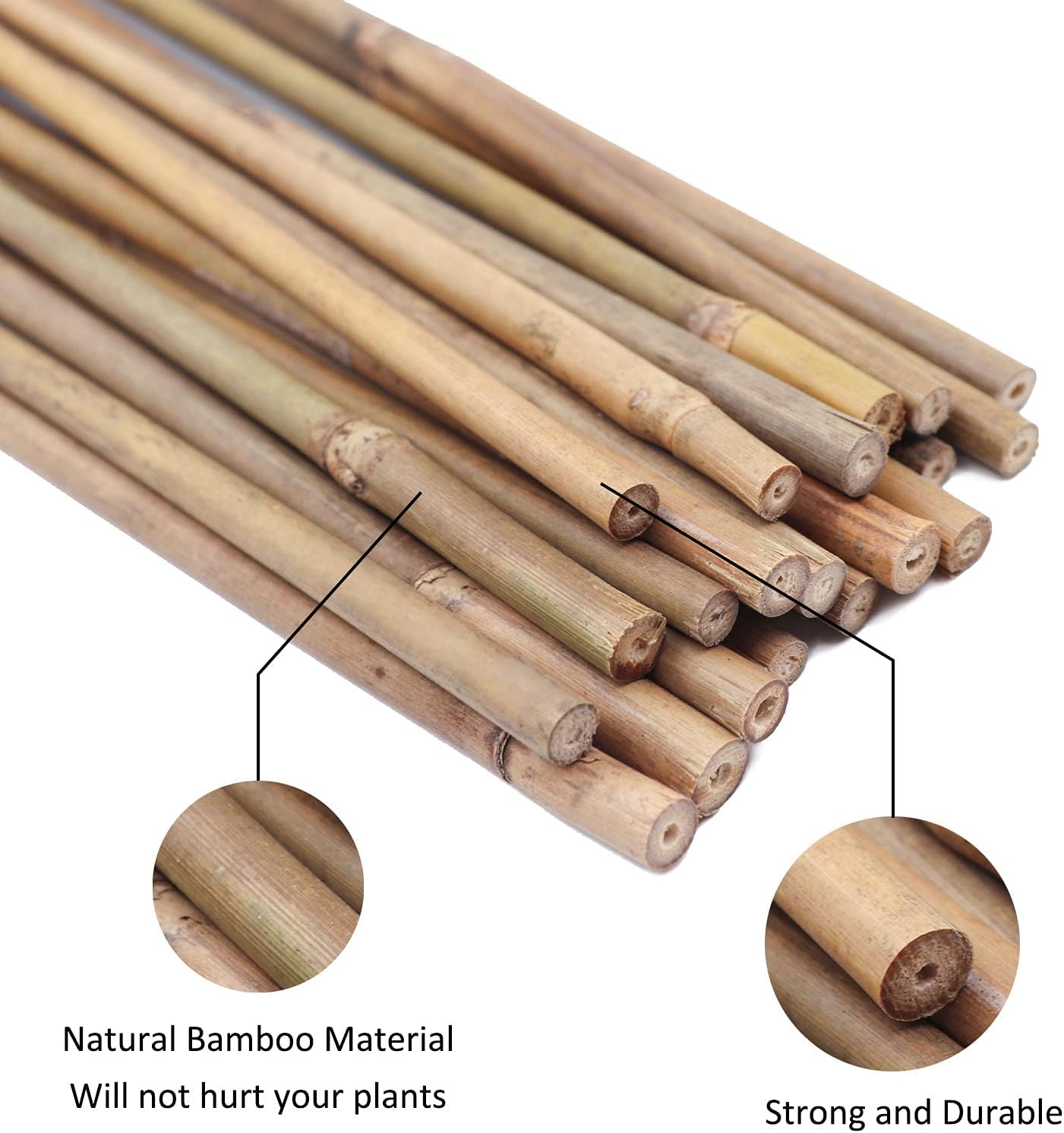 GAGINANG Plant Stakes Natural Garden Bamboo Sticks for Indoor and Outdoor, 20pcs for Tomatoes, Beans, Potted Plants - 18 inches