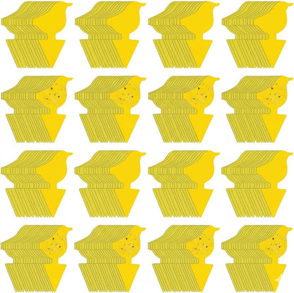 Kate's Home & Garden 36 Count Fruit Fly Traps for Indoors and House. Yellow Sticky Trap for Gnats, Mosquitos, Plants, Ants