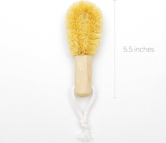 Tawashi a Kitchen Scrub Brush with Handle for Dish, Pan, Pot, Strainer, Sink and Vegetables (Mini)